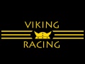 Vikingracinglogo.jpg